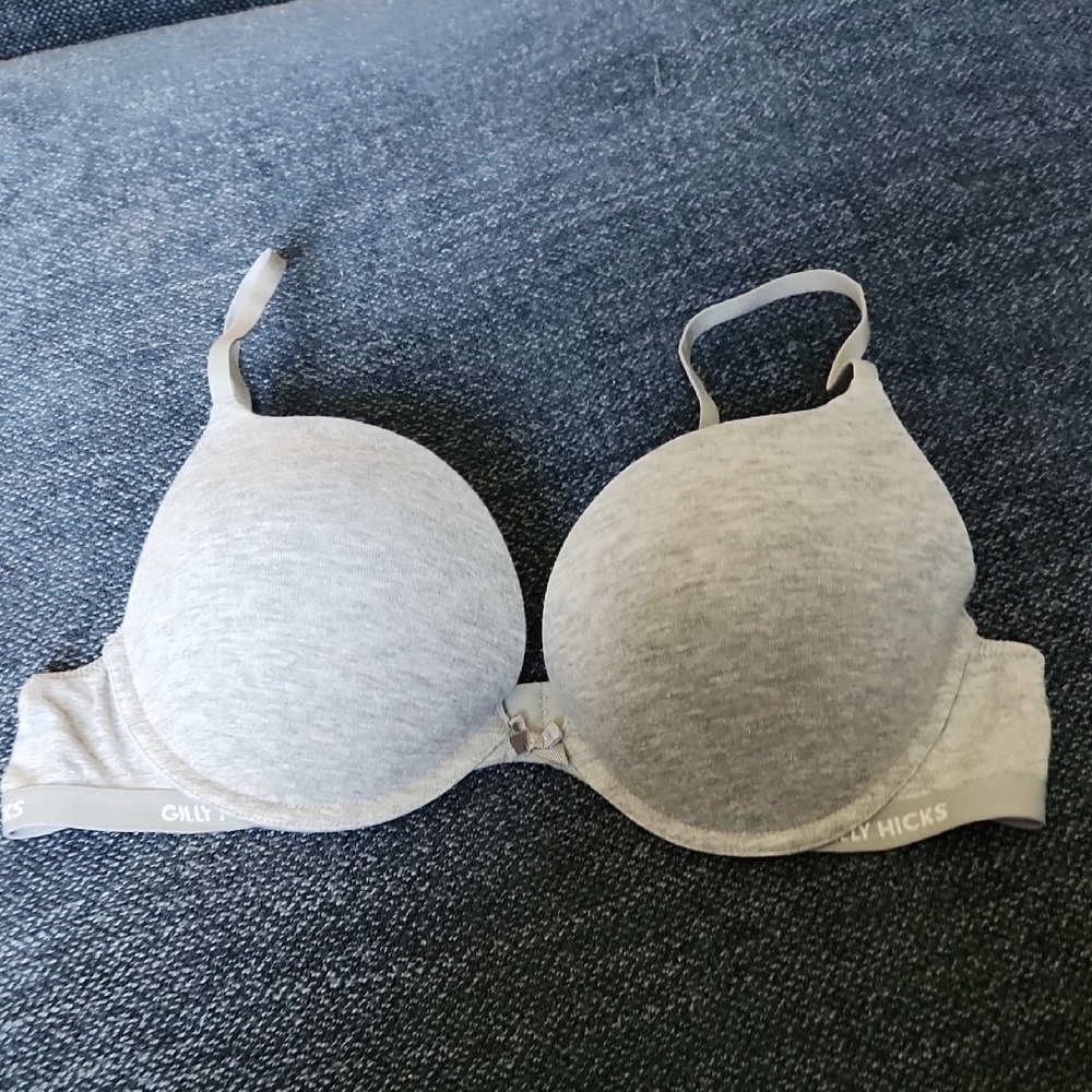Gilly Hicks Light Gray Bra